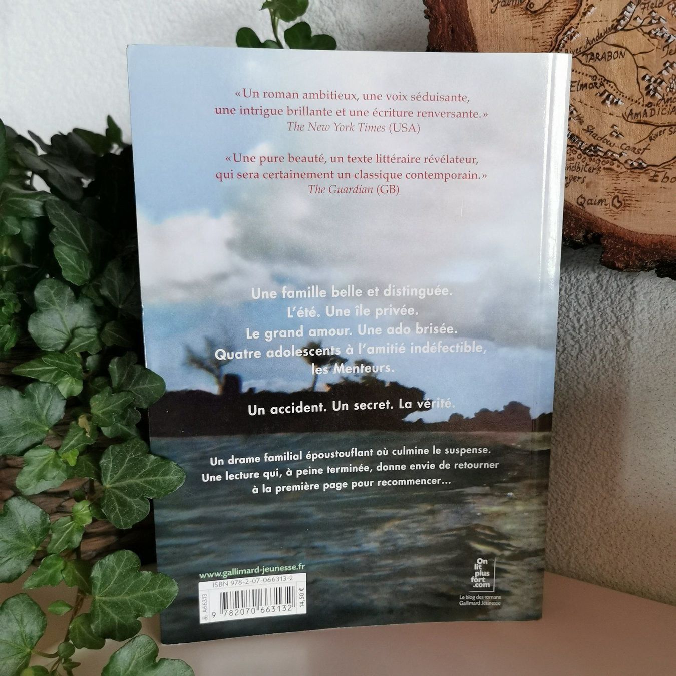 Libri: Nous les Menteurs - E. Lockhart – Usato da Veytaux venduto da lelivreouvert 2