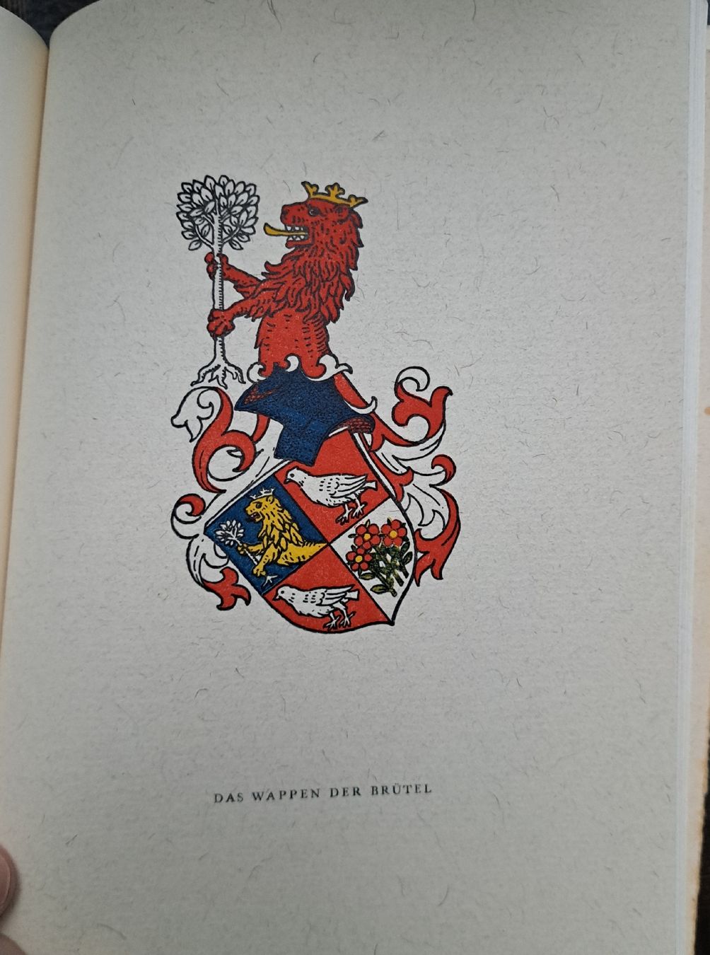 Libri: Schafisheim Geschichte Buch – Usato da Riggisberg venduto da Boxel 4