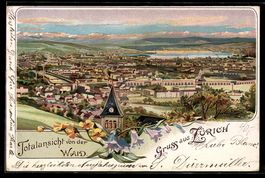Litho Zürich, Totalansicht von der Waid