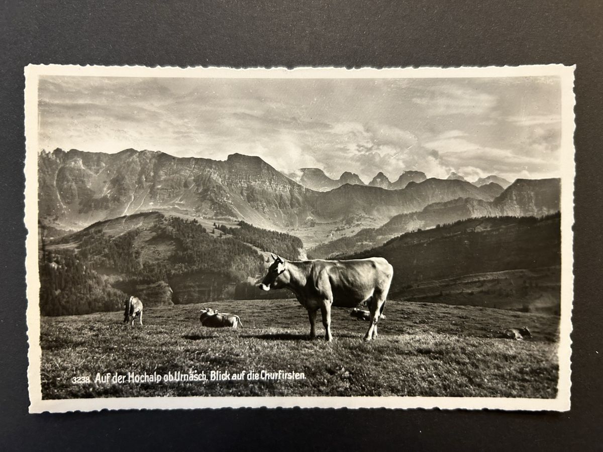 Cartes postales: Hochalp gegen Churfirsten – D'occasion à Fanas par Alessio11