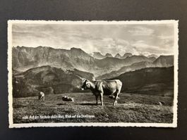 Hochalp gegen Churfirsten