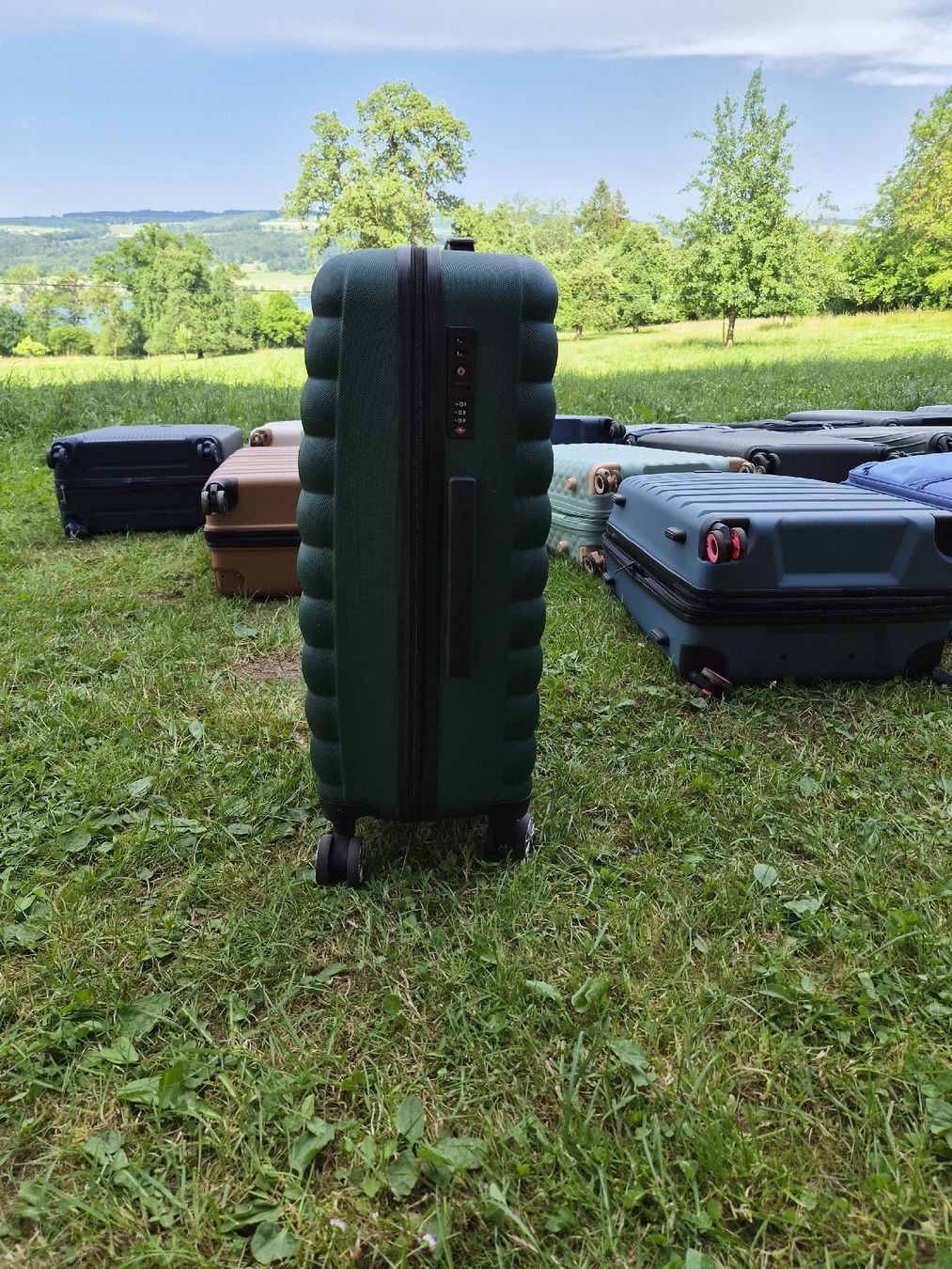 Valigie: Reisekoffer grün – Usato da Hochdorf venduto da TT_GARAGE 1