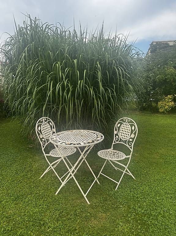 Tischset: Gartenset Romantisch Weiss – Gebraucht aus Andwil SG von Marosco