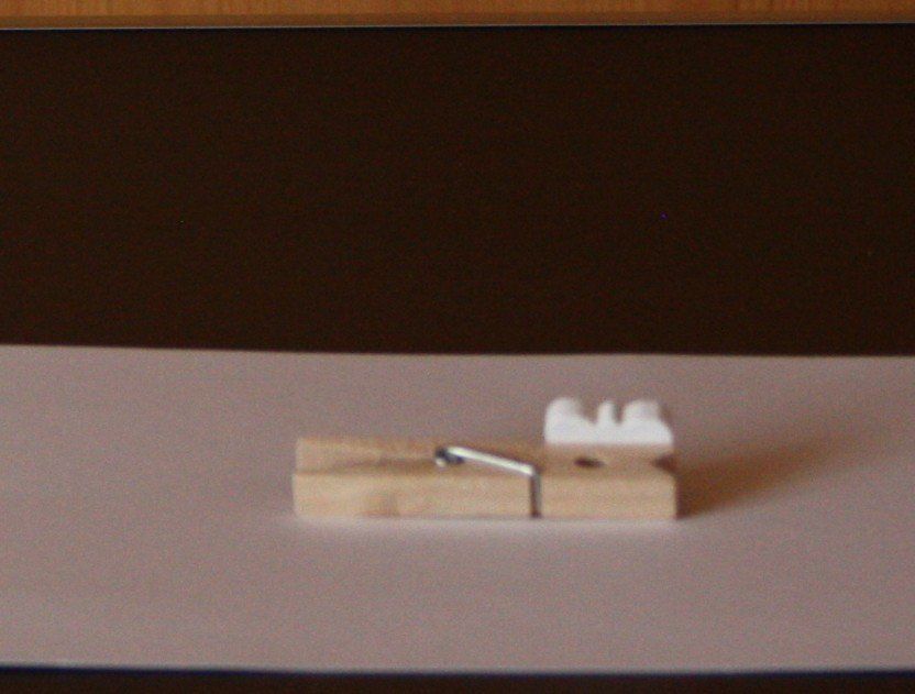 Tutte le decorazioni: Klammer mit Schmetterling – Usato da Flüelen venduto da Diversicum-Shop 2