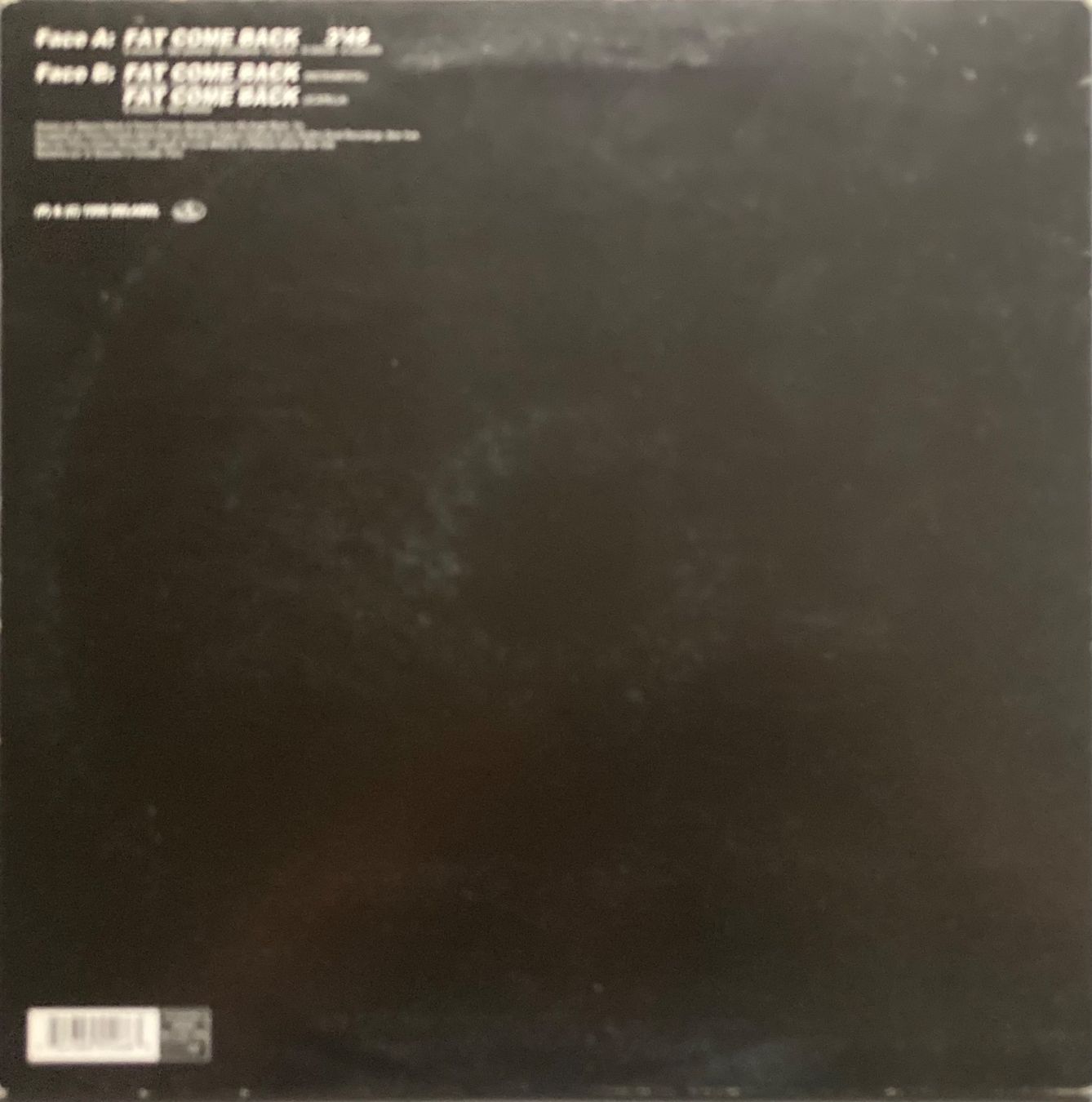 Vinyles: ALLIANCE ETHNIK - FAT COMEBACK – D'occasion à Poliez-Pittet par Newtown-Records 1