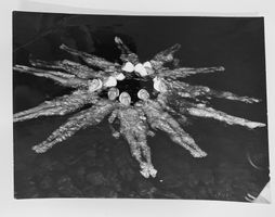 Foto Rarität 1950 Synchronschwimmerinnen aus Hollywood