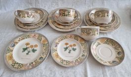 England Wedgwood "Garden Haze"Geschirrset,16-teilig,Vintage!