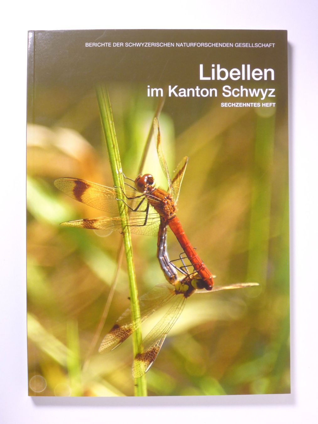 Libri: Libellen im Kanton Schwyz. – Usato da Erschwil venduto da taglang