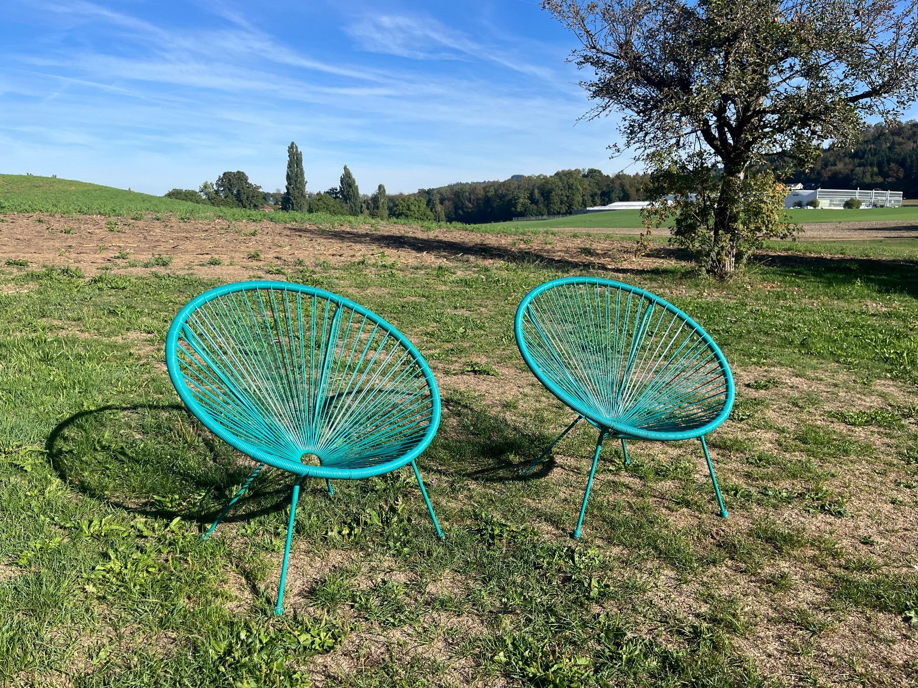 Poltrone: 2 Faden Lounge Sessel – Usato da Allmendingen b. BE venduto da juair 5