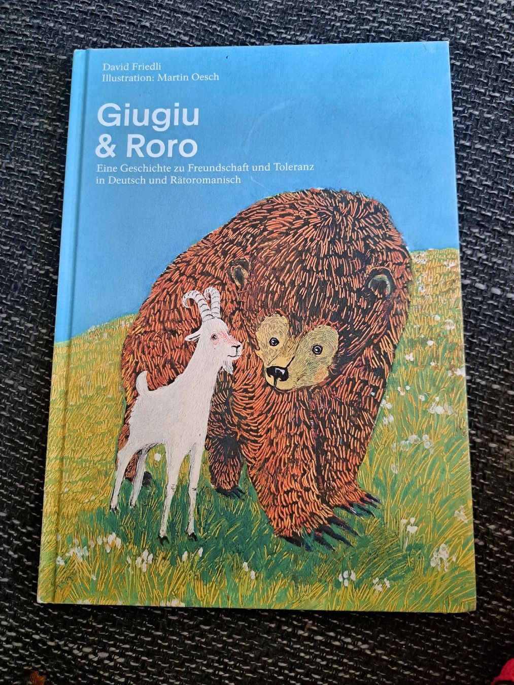 Libri: Bilderbuch "Giugiu und Roro" – Nuovo (secondo la descrizione) da Luzern venduto da pumi24