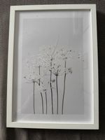 Stampa con motivo floreale bianco cornice bianca 32x23 cm