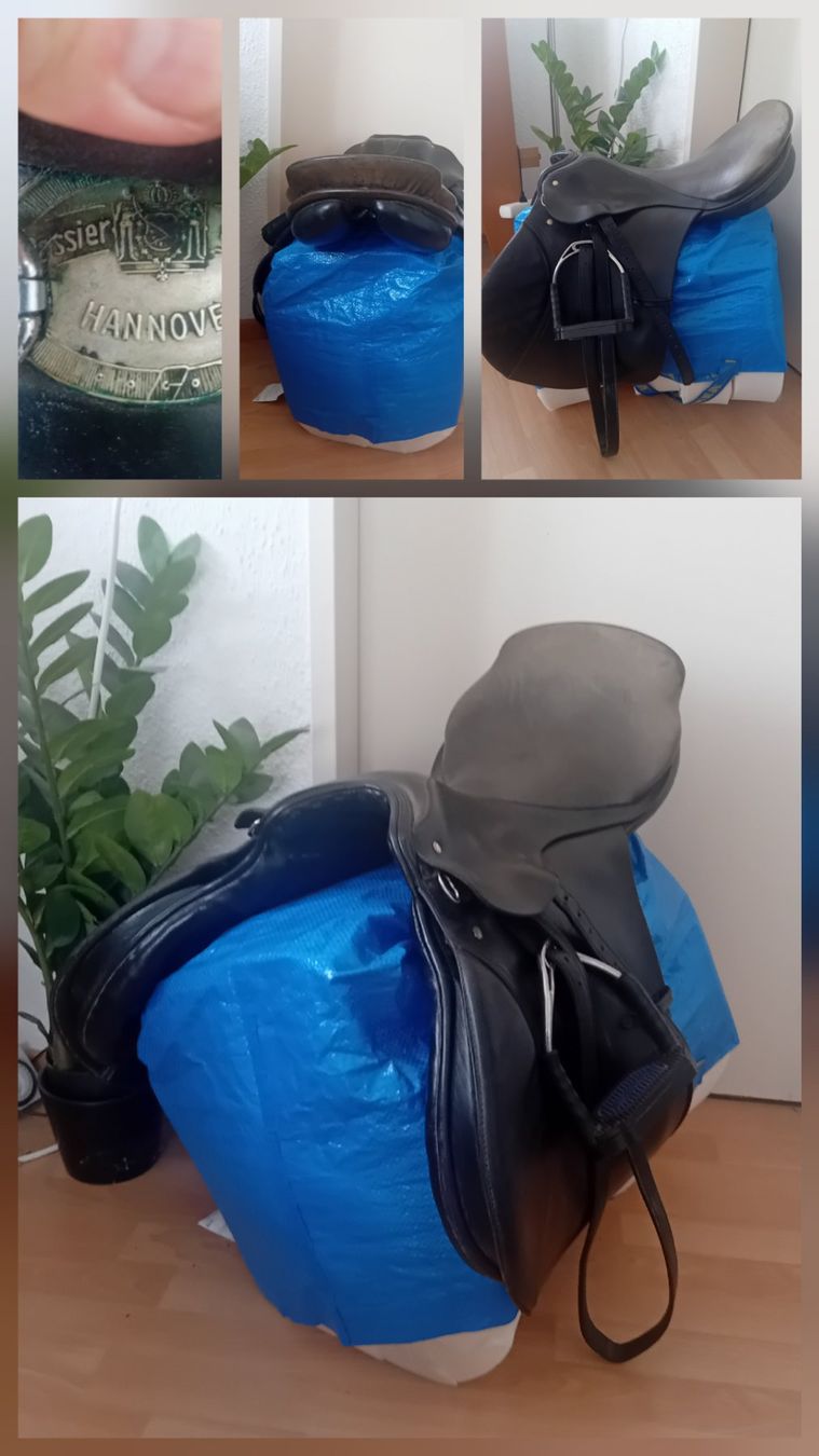 Selle & Accessori: Vs-Sattel Passier&Sohn – Usato da Amriswil venduto da Landherzli