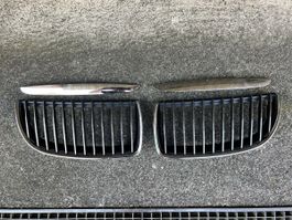 BMW E90 Grill
