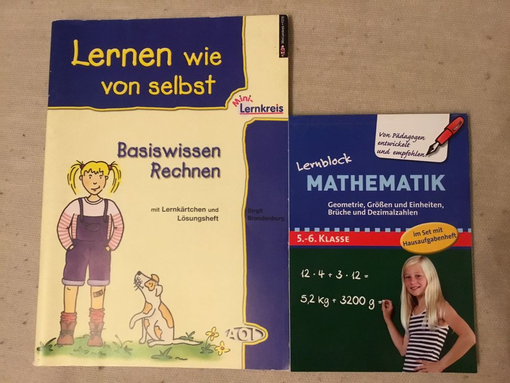 Lehrmittel Mathematik, Basiswissen Rechnen 5. & 6. Klasse | Kaufen Auf ...