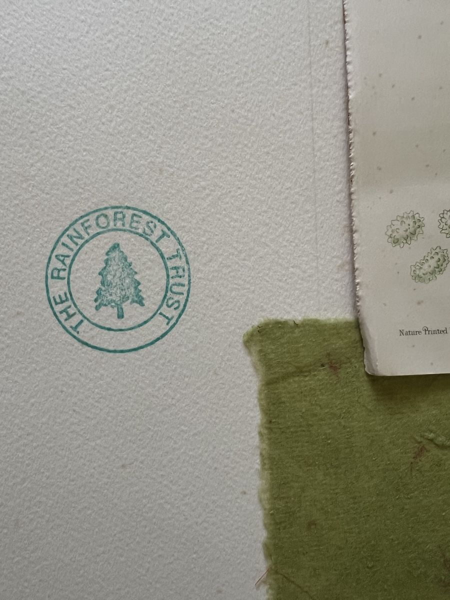 Grafica & Litografie: XAVIER LLEWELLYN, handsigniert – Usato da Rain venduto da Pic-Ass 8