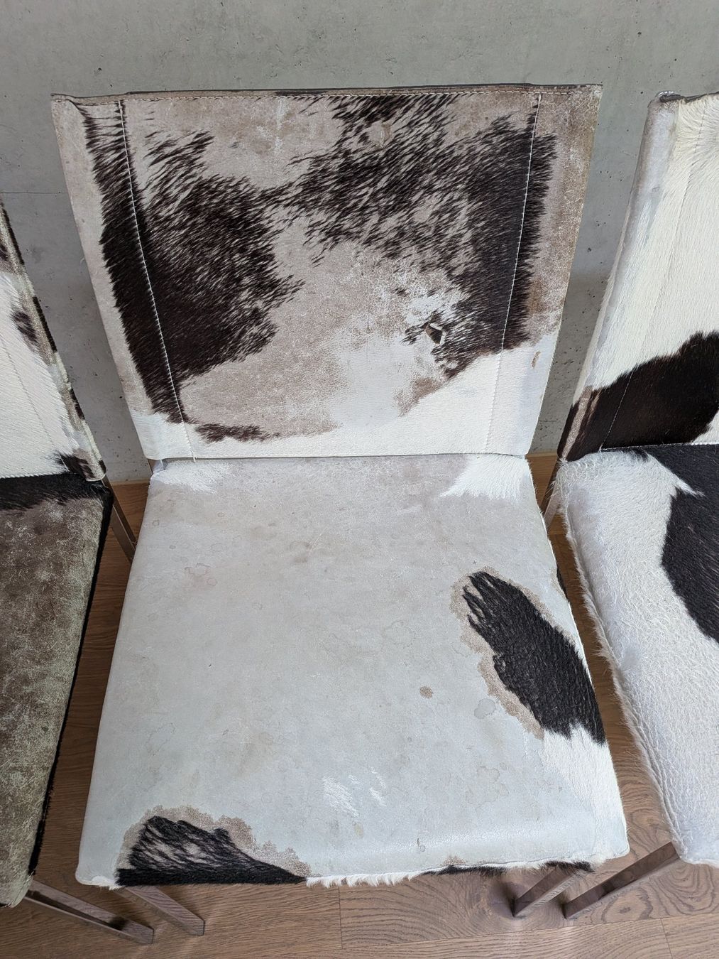 Micasa Sedie: Fellstühle 6 Stück – Usato da Hagenbuch ZH venduto da cat_qd6g 1