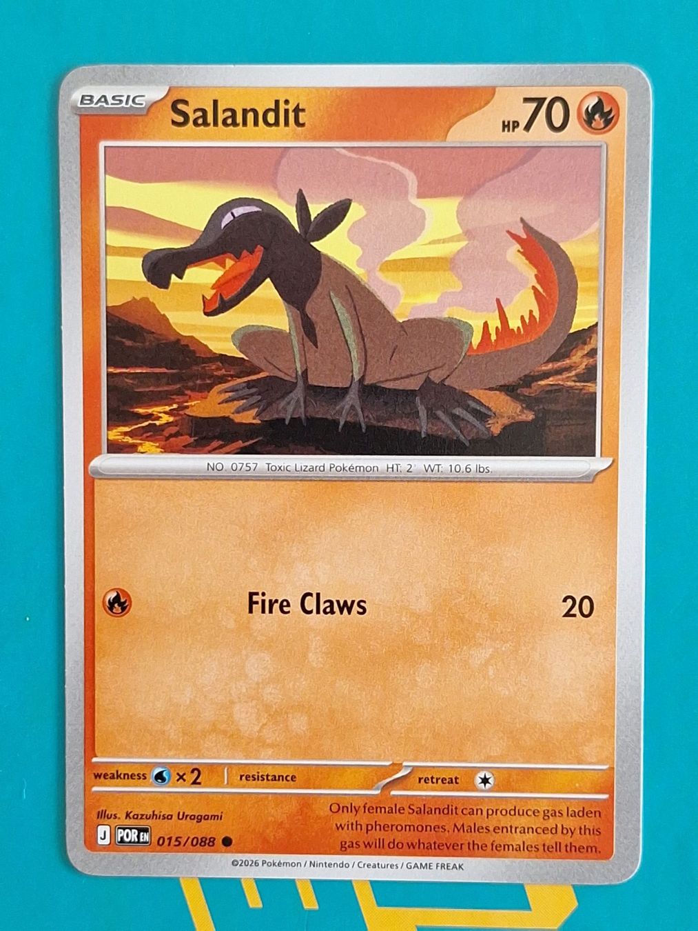 Pokémon Carte collezionabili: Salandit - Pokemon Perfect Order – Usato da Altstätten SG venduto da GGsGameshop