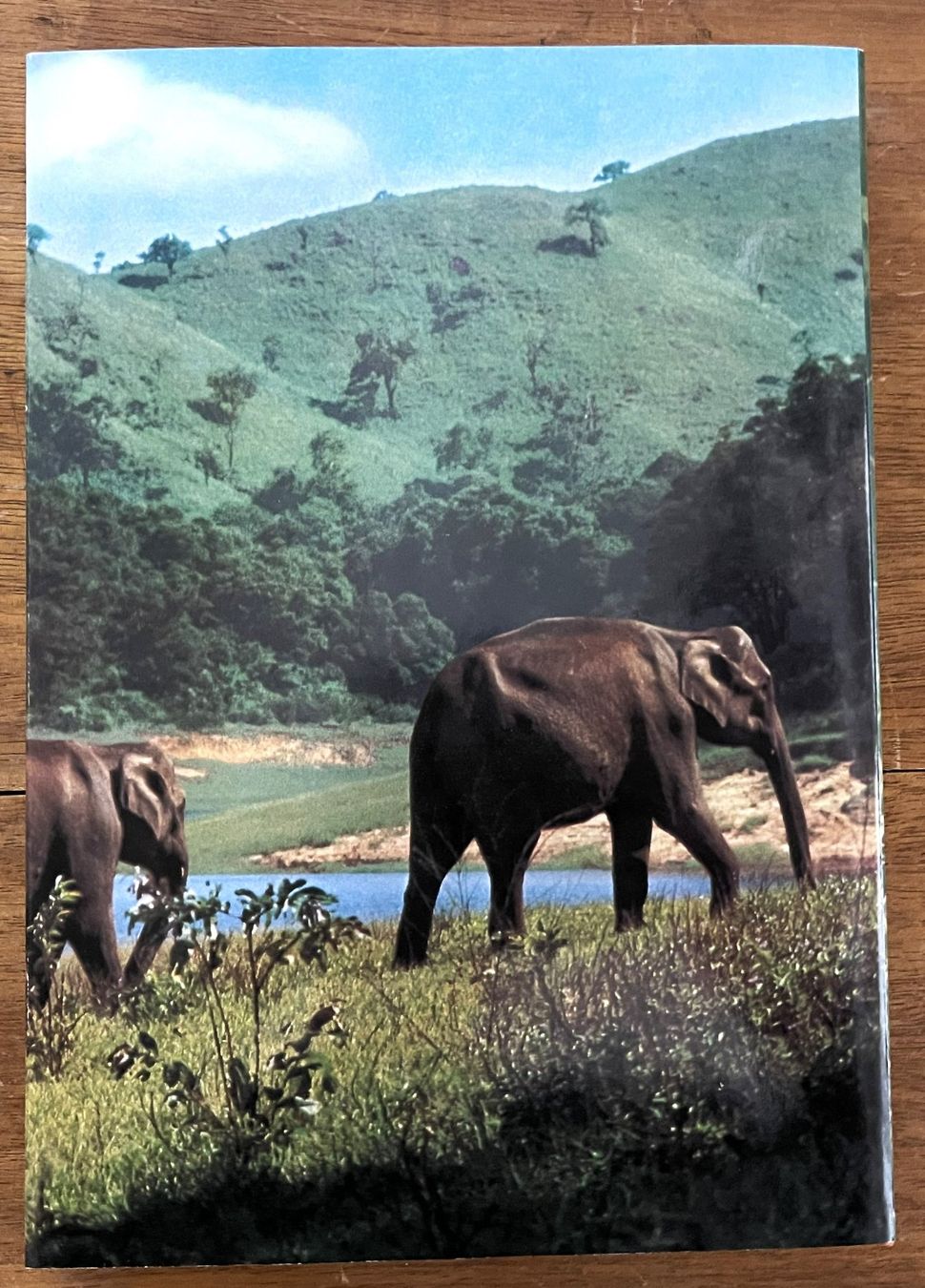 Bücher: Silva Verlag, Zoo Indien, 1976 – Gebraucht aus Oftringen von Vucki 8