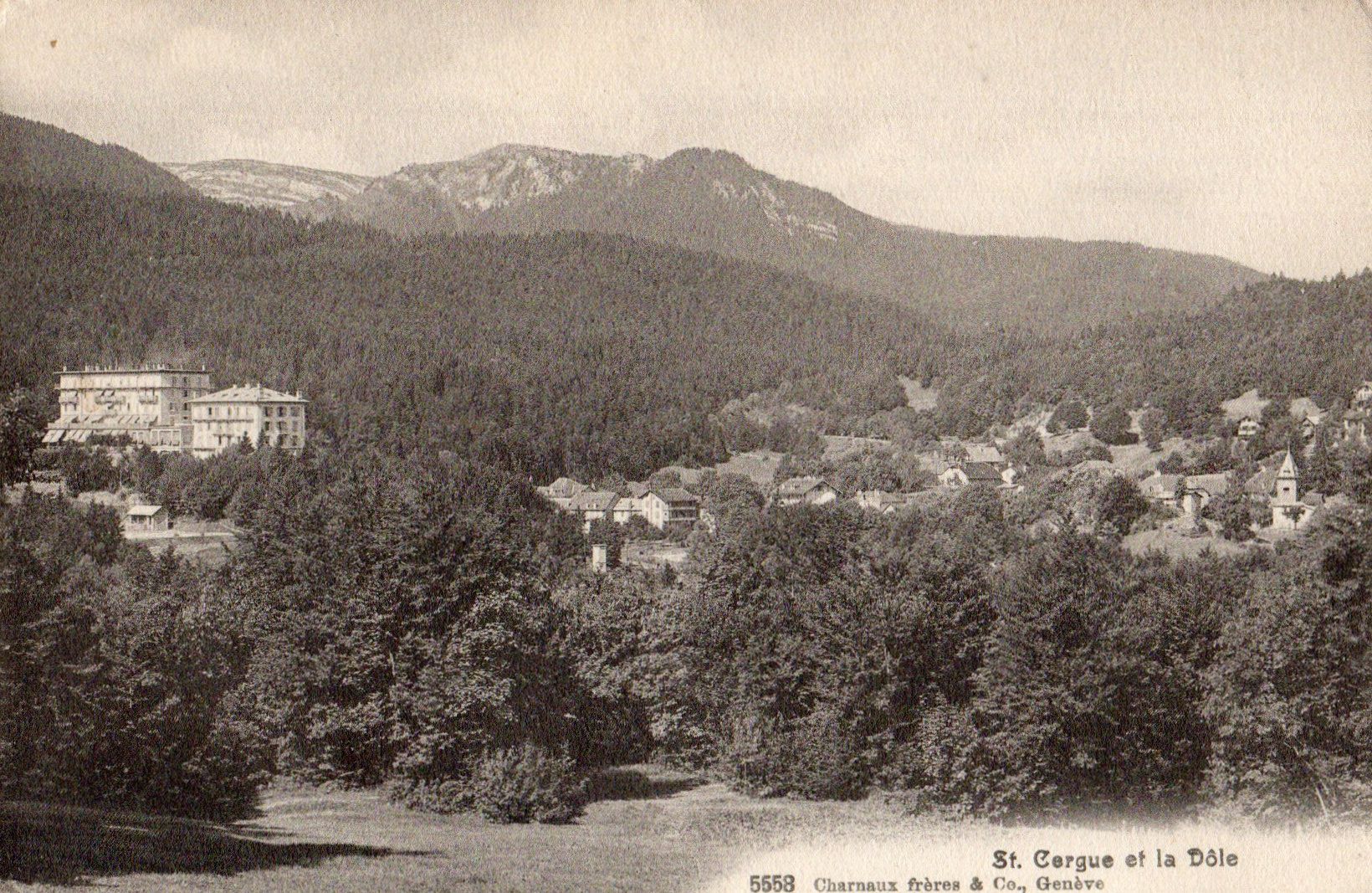 Ansichtskarten: St.Cergue et la Dôle – Neu (gemäss Beschreibung) aus Melano von pisonsdro