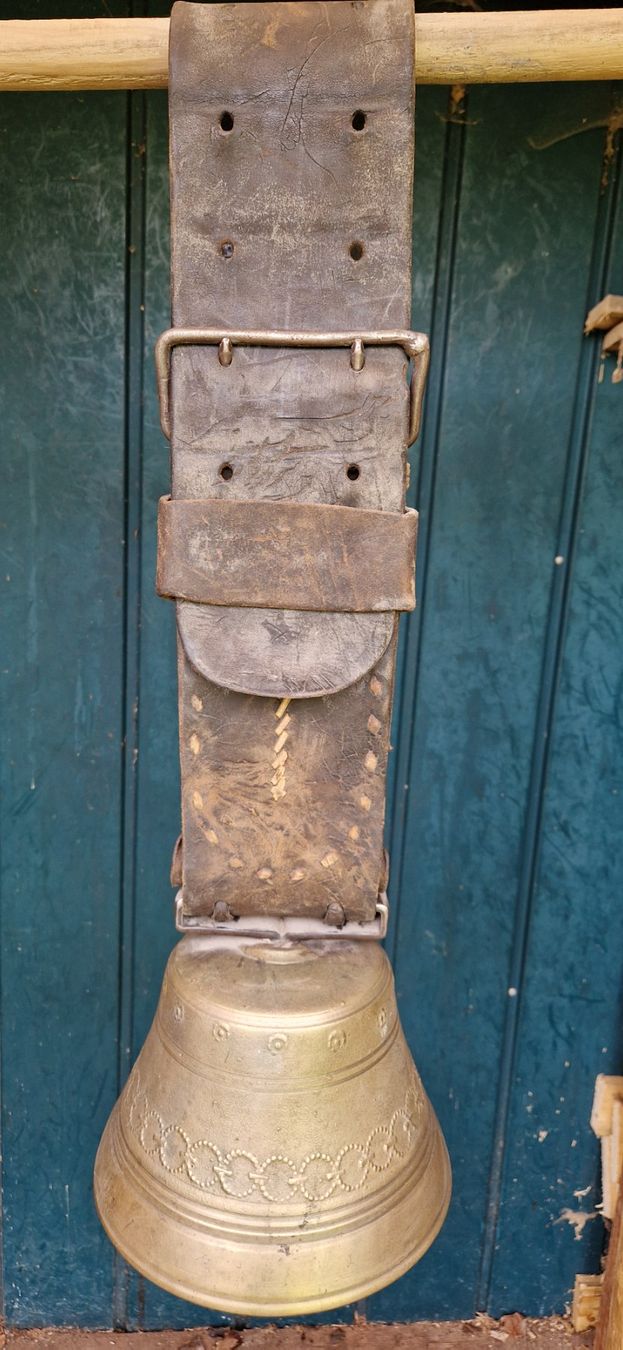 Campanacci mucche: Glocke 23 mm – Usato da Fischenthal venduto da sackblitz