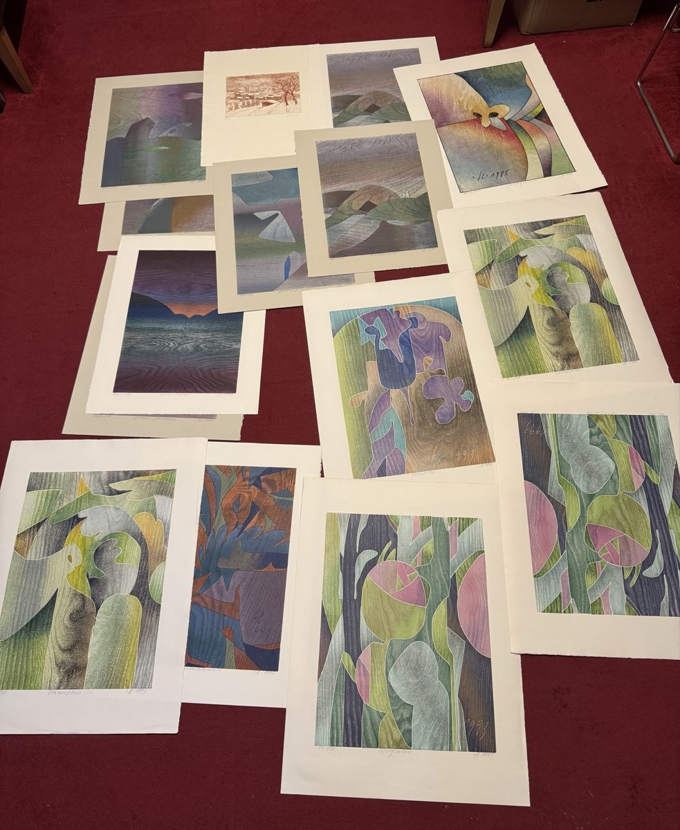 Grafiken & Lithographien: Lithos Hand signiertes Bilder 15 stk.  – Gebraucht aus Schlieren von Freundlich02