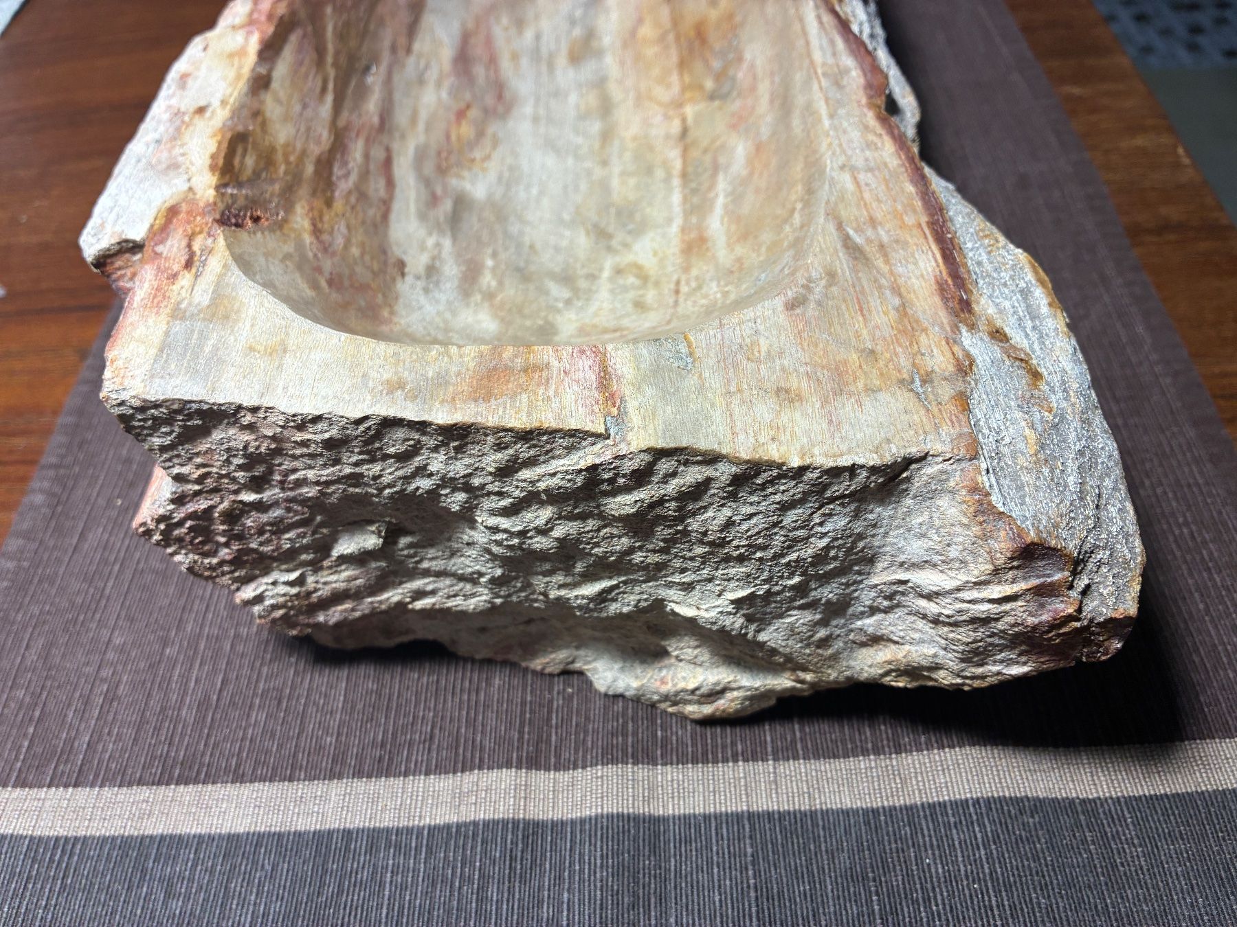 Fossili: Bois fossilisé – Usato da Lausanne venduto da JTRMcom 2
