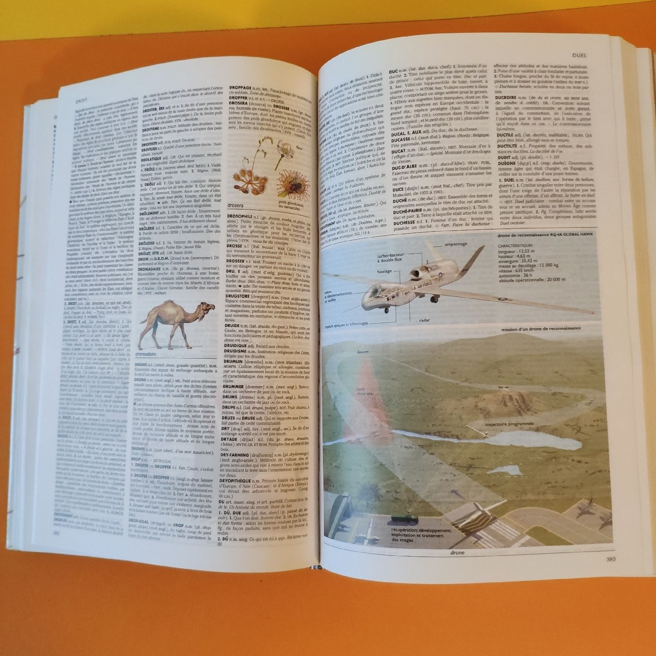 Bücher: Le petit Larousse illustré 2006 , 1855 pages – Neu (gemäss Beschreibung) aus Lausanne von Jdelta 3