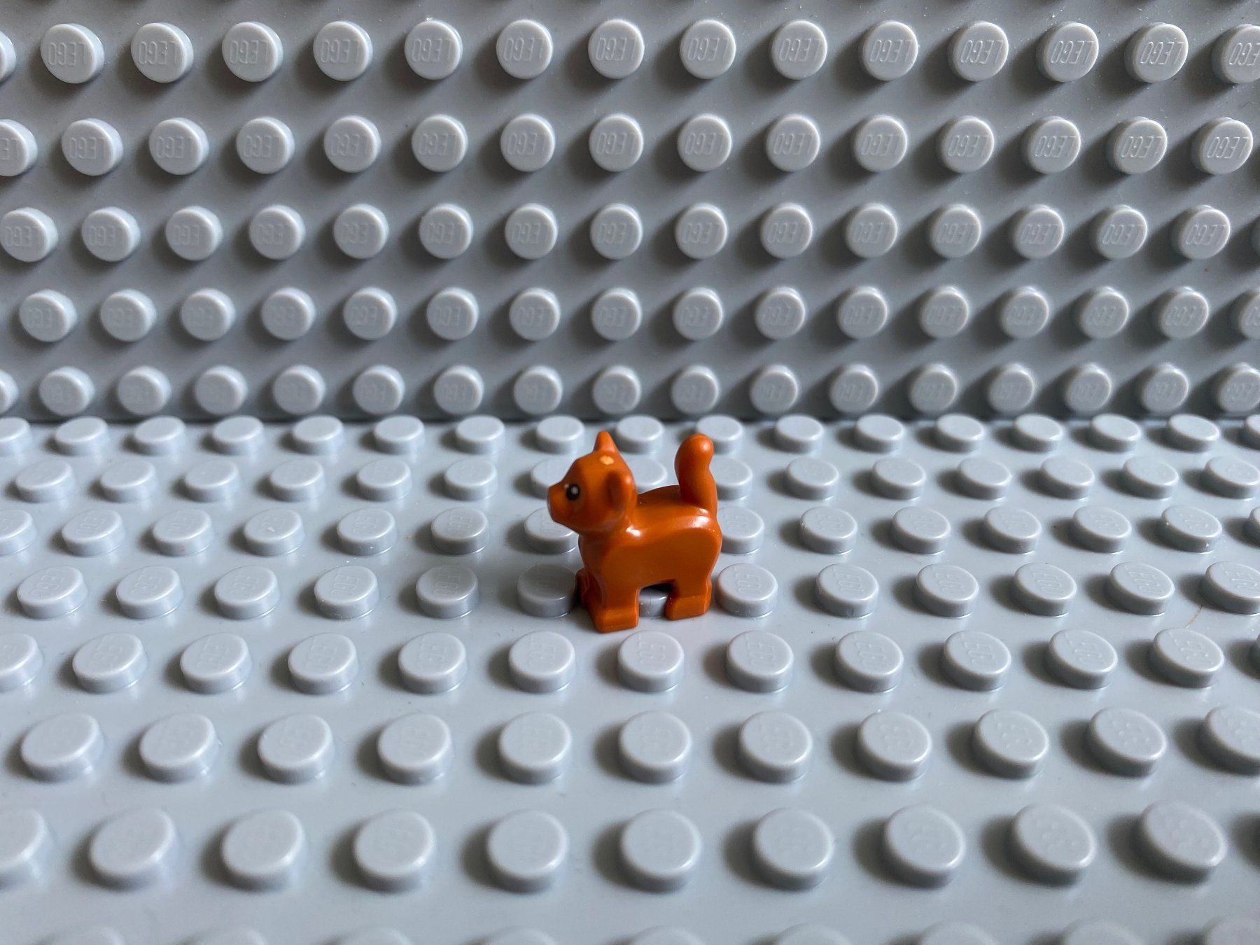 Lego Kit di costruzioni: Lego Tiere - Katze Baby – Nuovo (secondo la descrizione) da Horw venduto da G39517sG 1