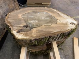 Baumscheibe Nussbaum / Holzscheibe