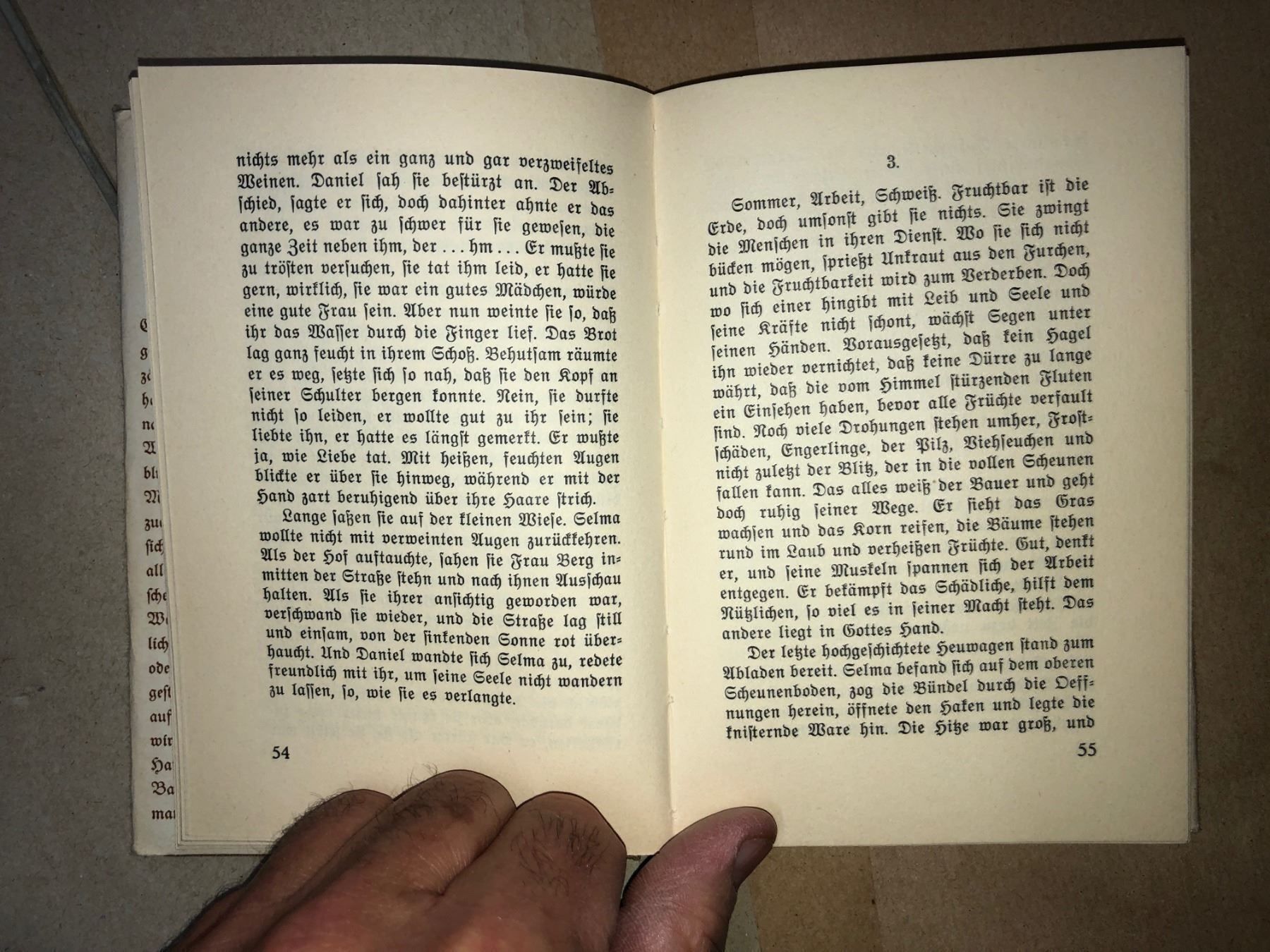 Libri: Marie Bretscher: Wanderer gegen Abend – Usato da Zürich venduto da allp 7