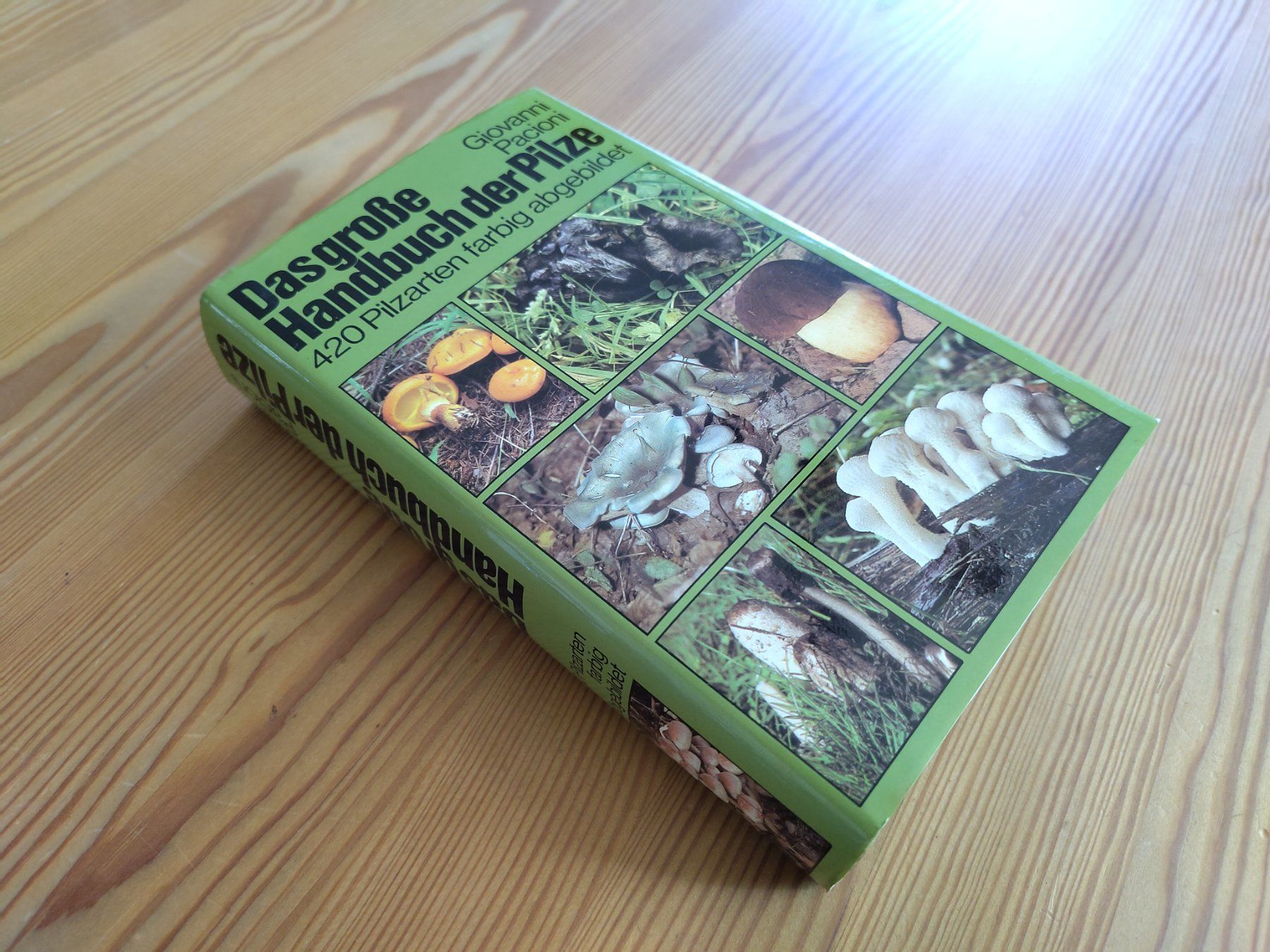 Bücher: Pilzführer "Das grosse Handbuch der Pilze" – Gebraucht aus Möhlin von MeisterHora