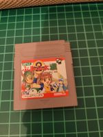 Retro Game Boy Game - RARE Japanese Import - Tested!