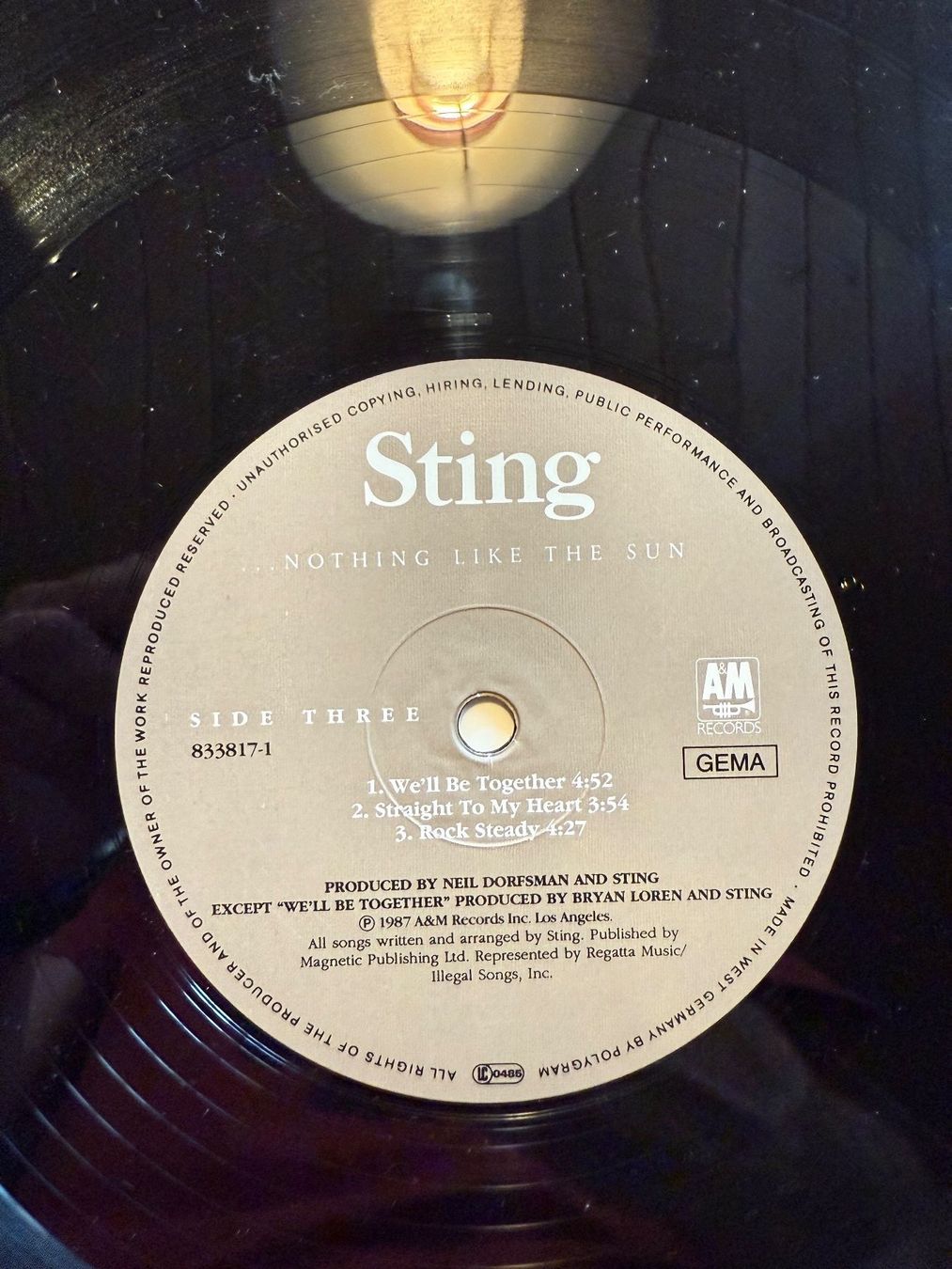 Dischi in vinile: Sting – ...Nothing Like The Sun - Original – Usato da Unterägeri venduto da hero87333 6