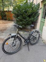 Decathlon Riverside Touring 900 L – Trekking Reisevelo Bike