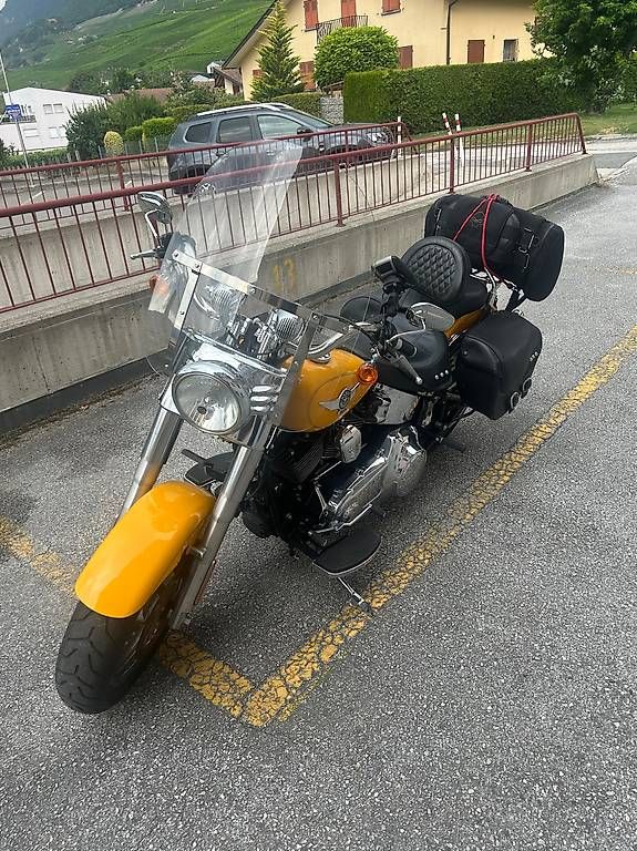 Harley-Davidson Chopper: Magnifique Harley-Davidson FLSTF Softail – Usato da Sion venduto da clarob1962
