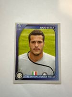 Panini UEFA Champions League 2008-2009 - Nr. 299