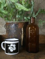 alte Giftflasche 500 ml
