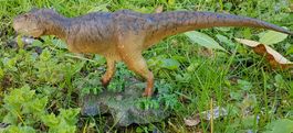 Tyrannosaurus von Matt Mannit, rar, Dinosaurier