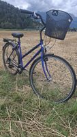 Schauff Damenfahrrad 28 Zoll – Shimano Acera X – fahrbereit
