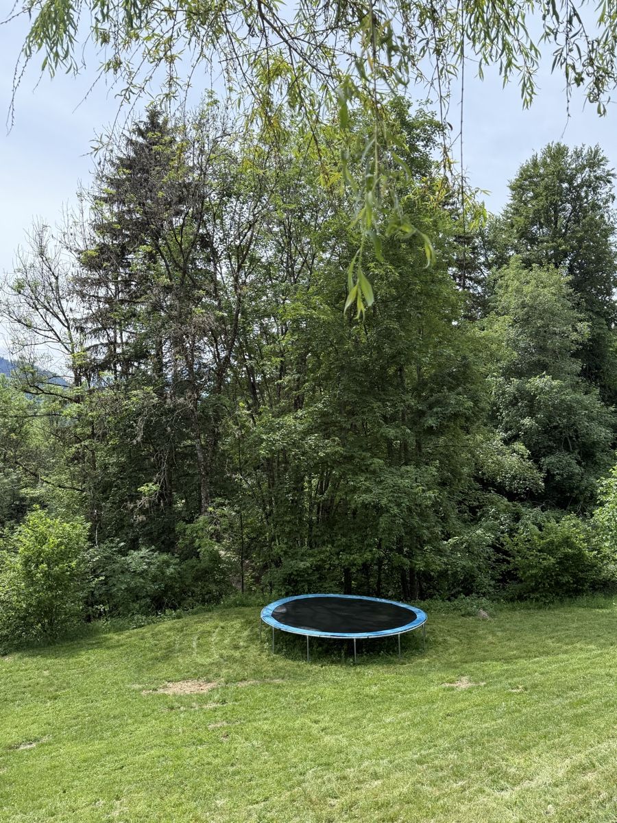 Trampolini: Gonser Trampoline – Usato da Gryon venduto da areddy 2