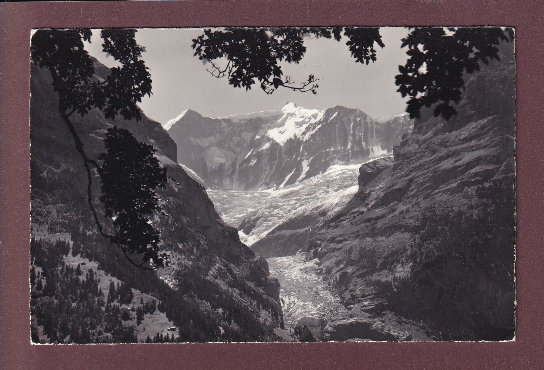 Cartoline postali: GRINDELWALD - Fiescherwand – Usato da Pully venduto da nicecards