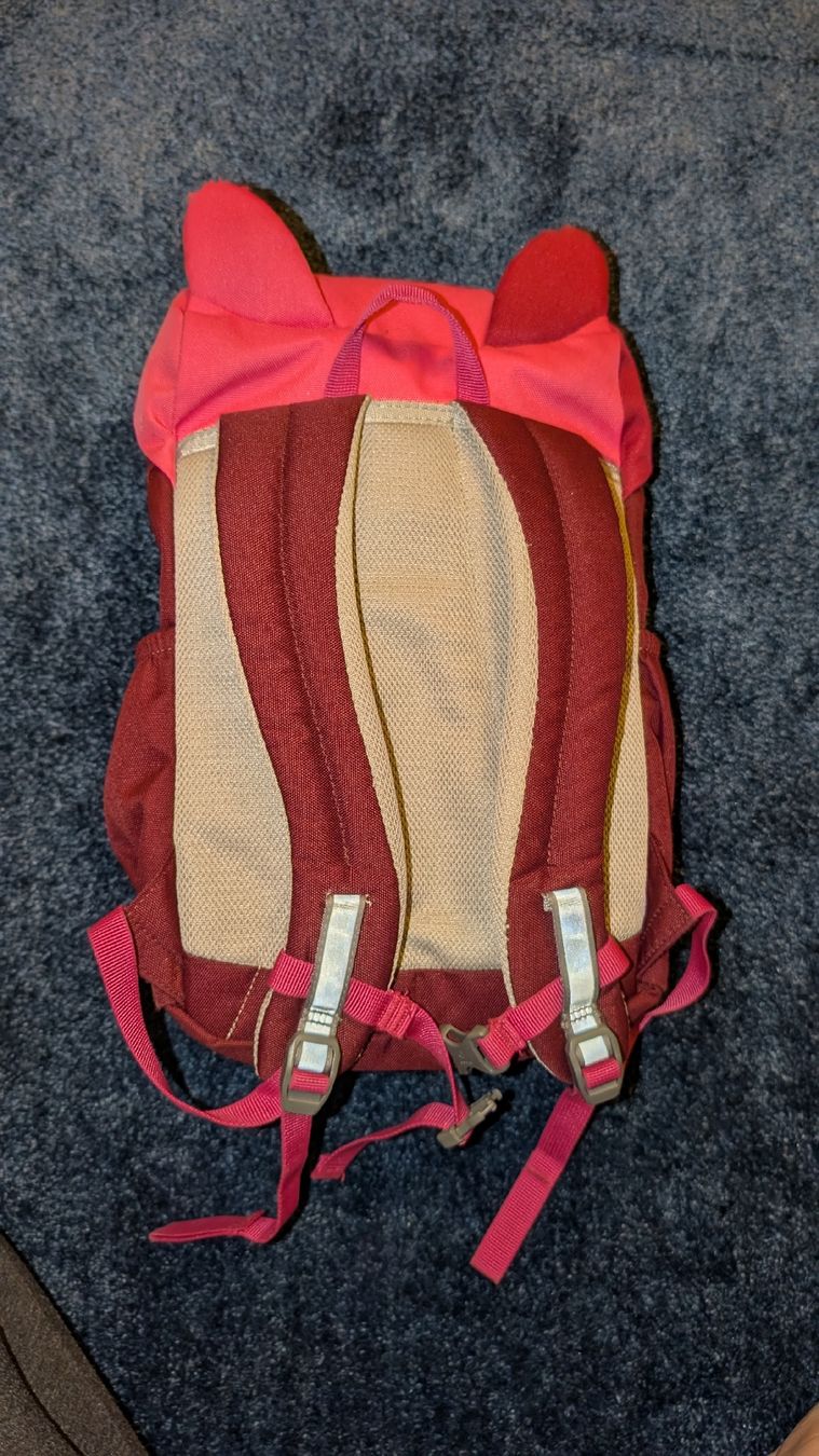 Deuter Borse & Zaini: Top Deuter Kinderrucksack, 8 Liter, Kikki – Usato da Rothenburg venduto da Sonne0310 2