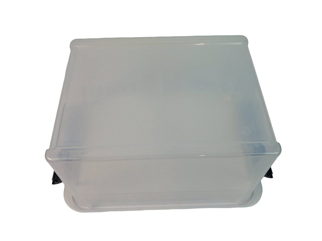 Contenitori & Simili: SMARTSTORE Classic Kunststoff Aufbewahrungbox – Usato da Hünenberg venduto da Restwert_Zug 3