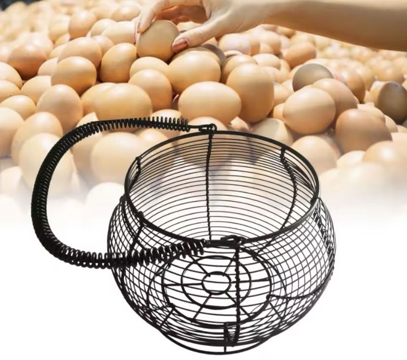 Altro per la casa: Draht Eierkorb tragbar mit Griff Behälter dekorative Küche – Nuovo e nell'imballaggio originale da Seon venduto da Aaargauer01