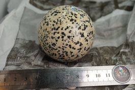 Dalmatiner   Kugel 60mm  Räumung Topstone  ab  10.-