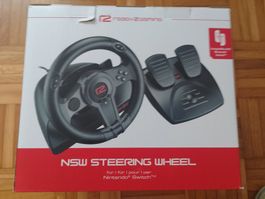 Nintendo Switch Lenkrad