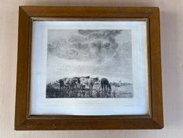 schöne Radierung von W. Unger Kühe im Wasser