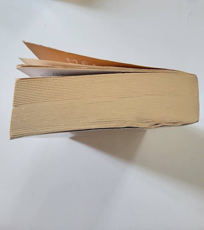 Bücher: La doublure de Mélissa Da Costa – Gebraucht aus Lausanne von sar_yyb7 2