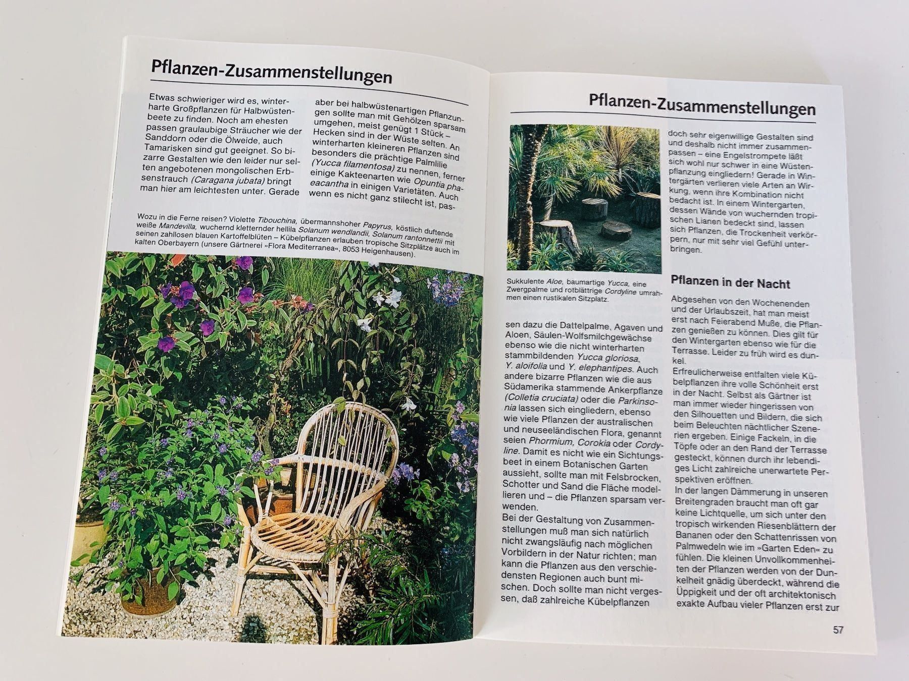 Libri: Die schönsten Kübelpflanzen – Usato da Bottmingen venduto da marktplatz-buecher 4