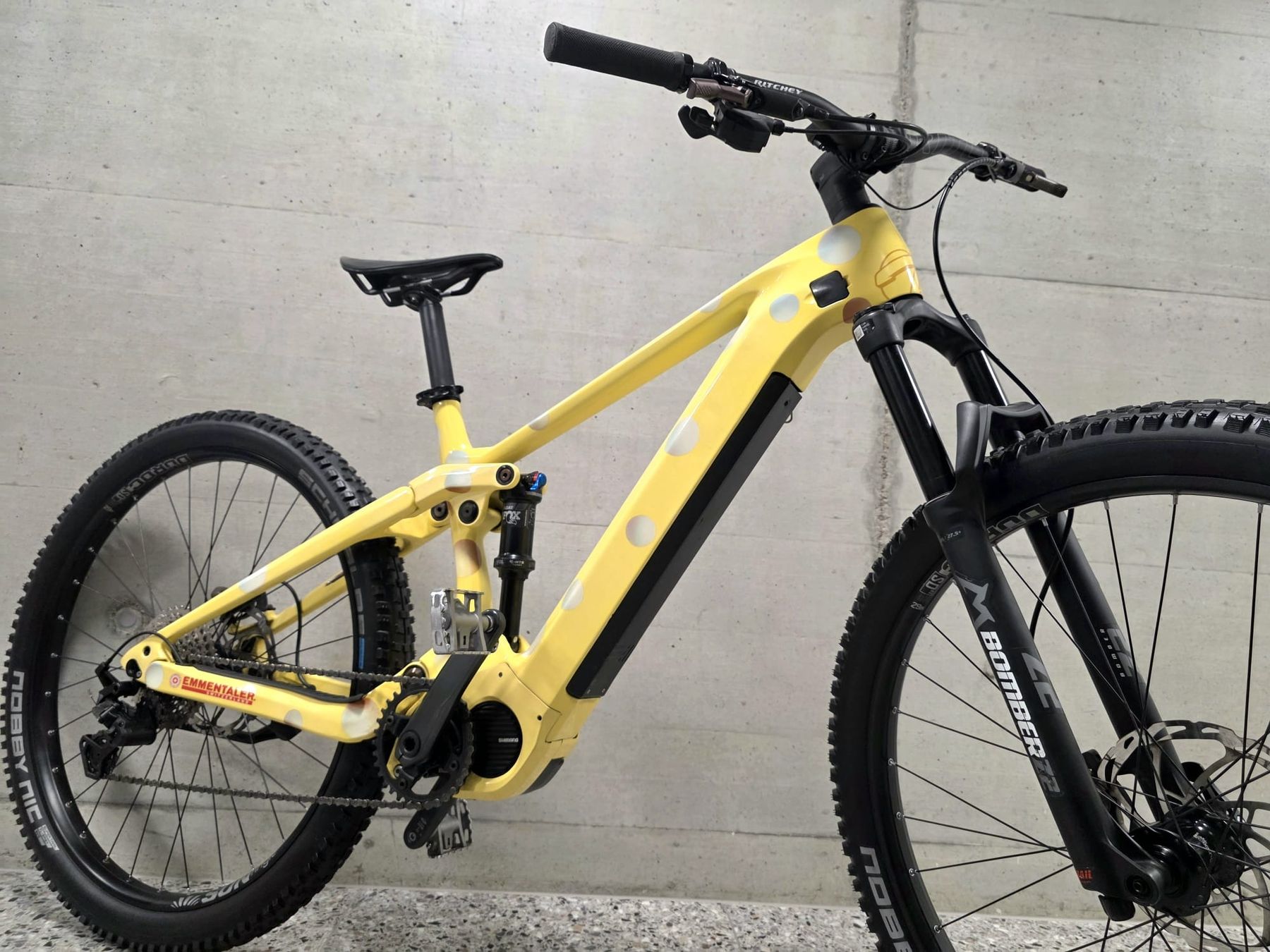 Thömus Biciclette: Thömus Lightrider E2 Custom EBike neuwertig – Usato da Hägendorf venduto da lua_f96g 4